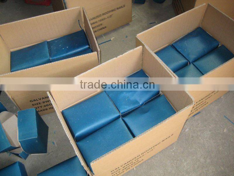 galvanized roofing nails with umbrella head/umbrella head nails /galvanzied roofing nail