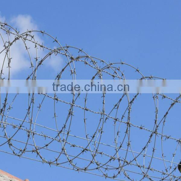 Hot dipped galvanized high quality double twisted barbed wire
