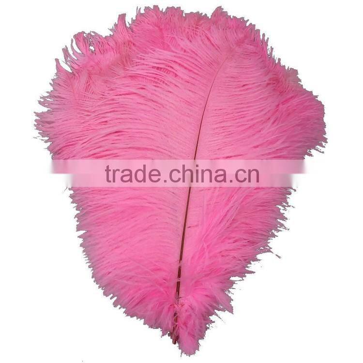 Pink Ostrich Plumes Feathers, Feather Ostrich Plumes, Different Colours Carnival Ostrich Feathers