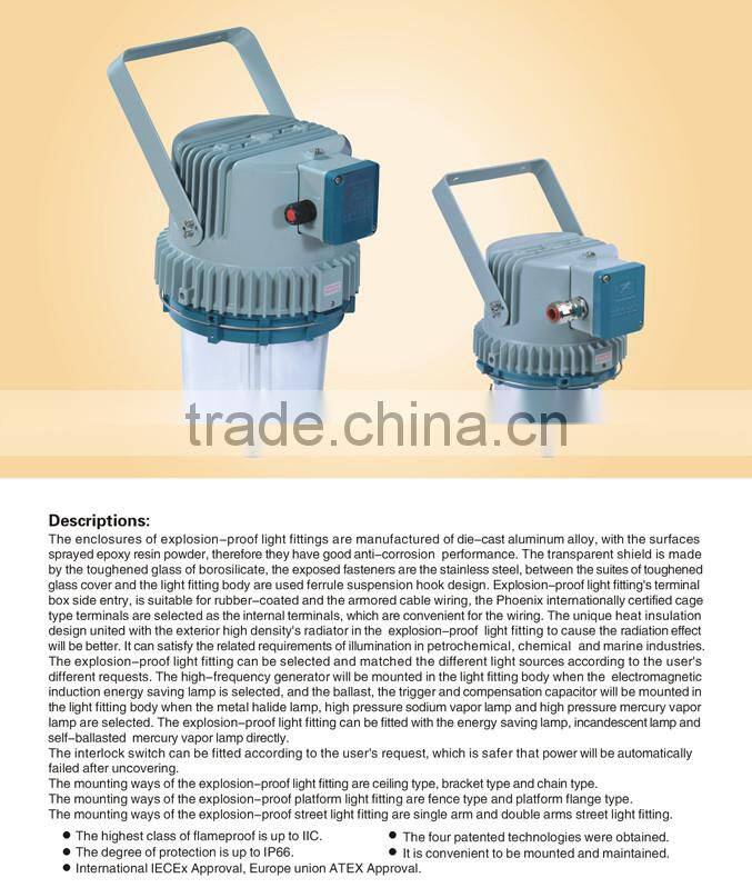 Explosion proof lighting fixture,HPS