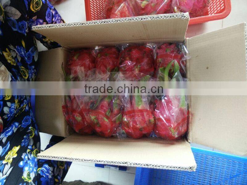 BEST PRICE FRESH DRAGON FRUIT