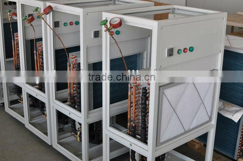 20 Liters Per Day New Powerful Industrial Automatic Dehumidifier