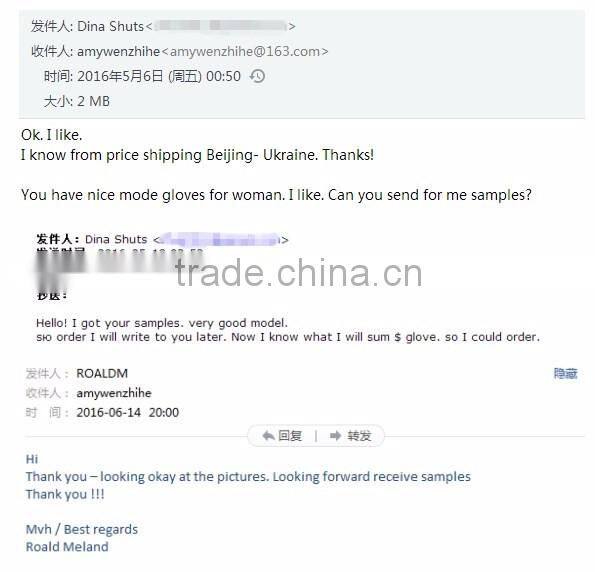 Middle Sex Thinsulate Leather Ski Gloves With Touch Screen