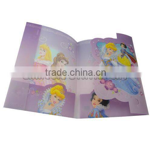 Colorful PPl file folder/E310