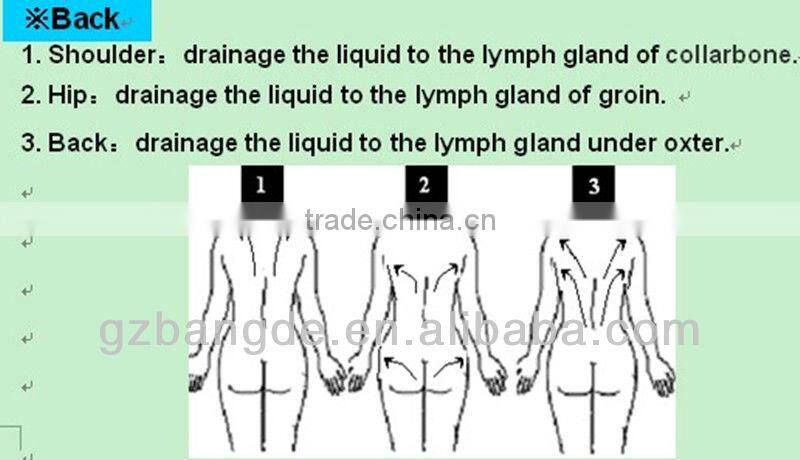 2013 Latest! The optimal body sculpting expert ultrasound cavitation machine for slimming BD-B030