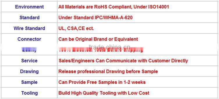 High Quality Display Wire Harness with Labels and Fork Terminal