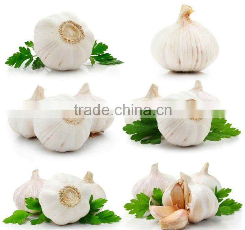 AD mixed vegetables for instant noodle food additive