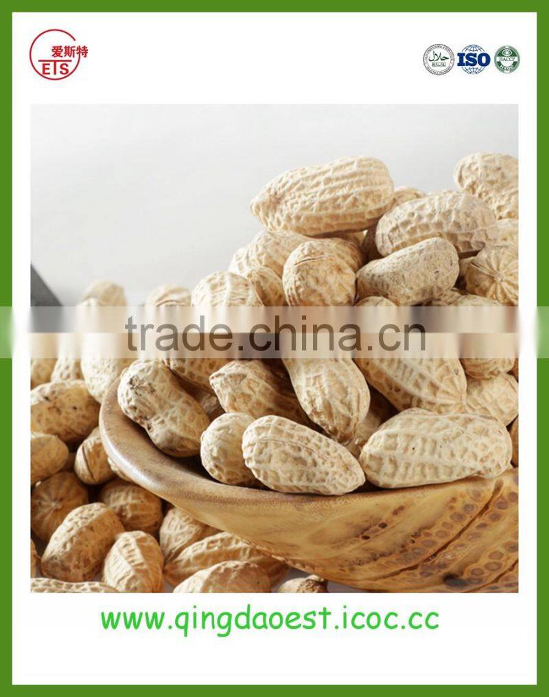 Good quality Shandong peanut in shell with best price