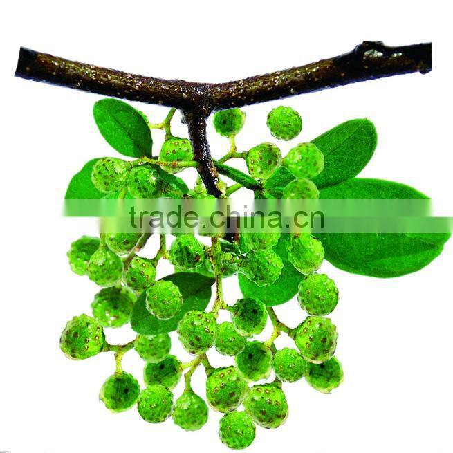 China wholesale cayenne pepper best selling products in europe