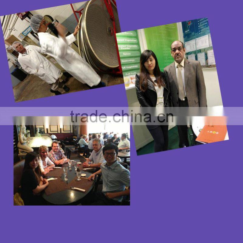 Dehydrated white onion kibbled