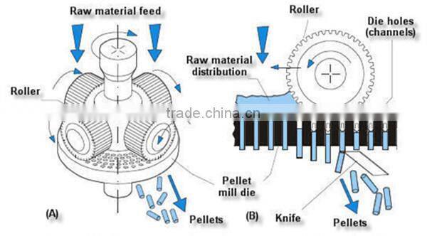 China Cheap cattle feed pelletizer machine