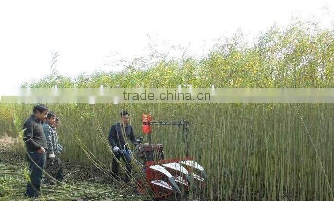 Corn harvester machine for sale/sugar cane harvesting machine/maize harvesting machine