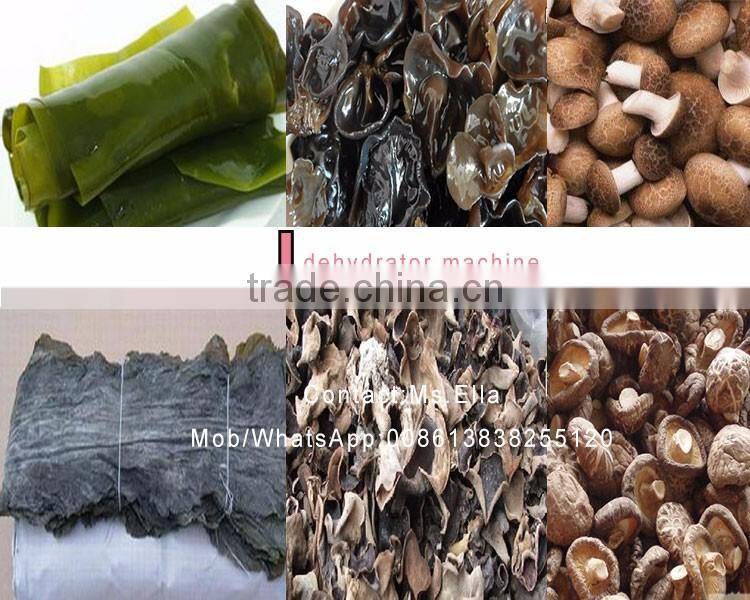 7 layer fruit dryer machine for home tea dryer