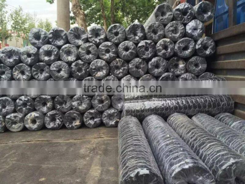 Stainless steel chicken wire rolls/chicken hexagonal mesh roll/hexagonal wire mesh