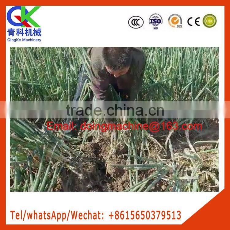 A tractor serves several purposes Green Chinese onion harvester