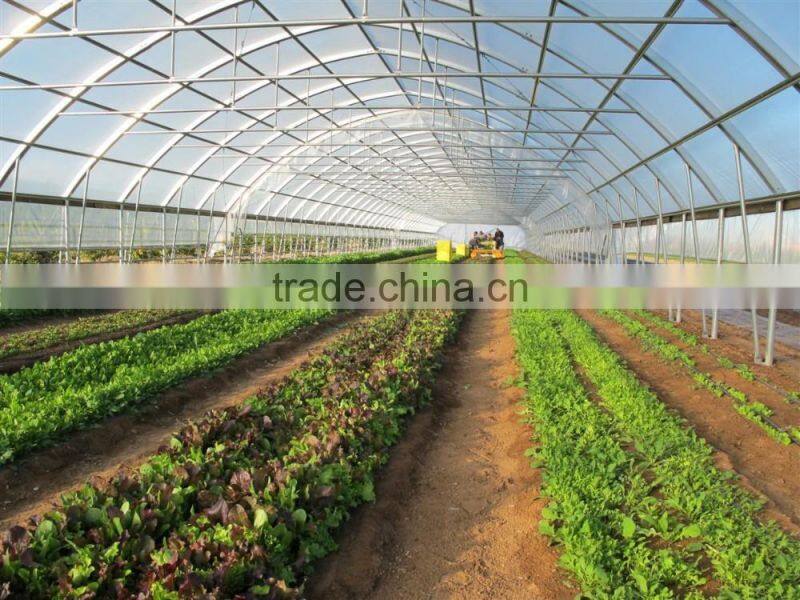 Cheap Tunnel Vegetable Greenhouse With Shading Screen