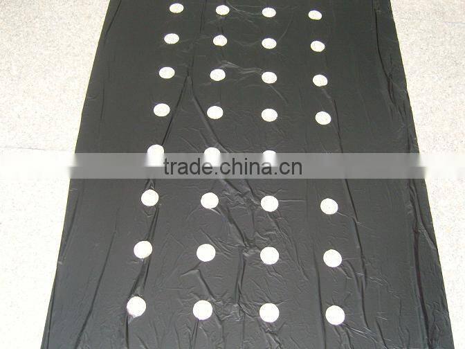 plastic agricultural film with 8cm holes