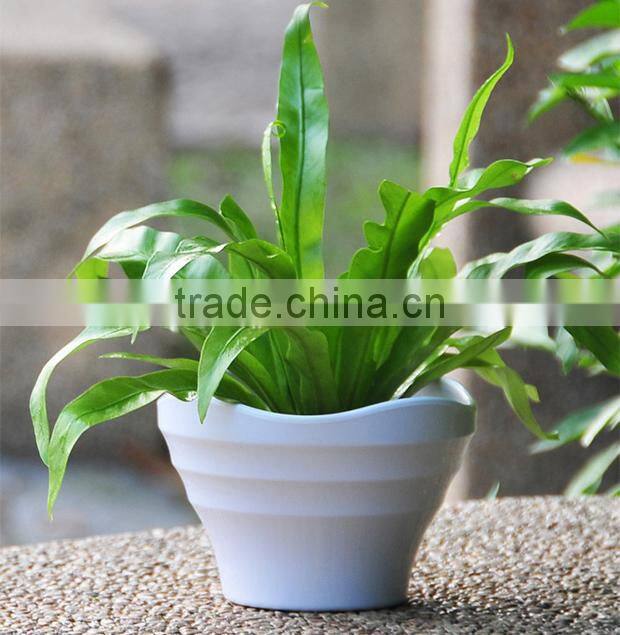 Unique shape resin bright color flower pot