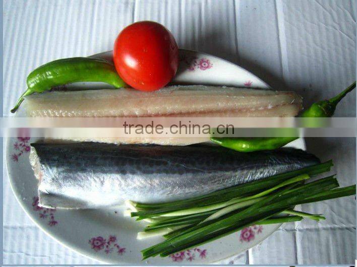 frozen spanish mackerel fillets