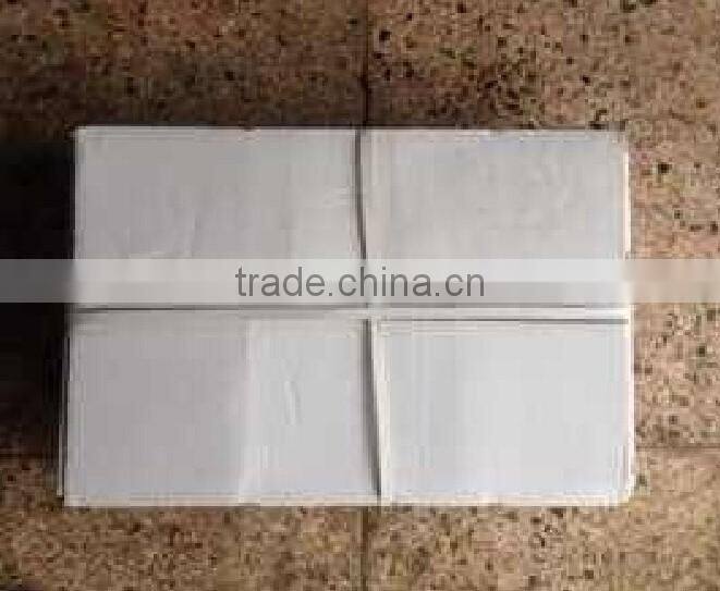 Frozen Giant Squid Fillet