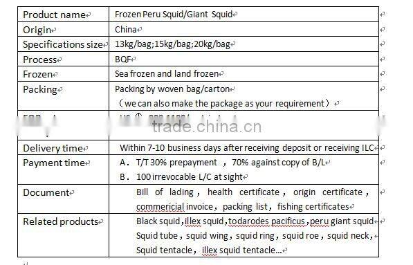 lamp for fishing squid of giant squid