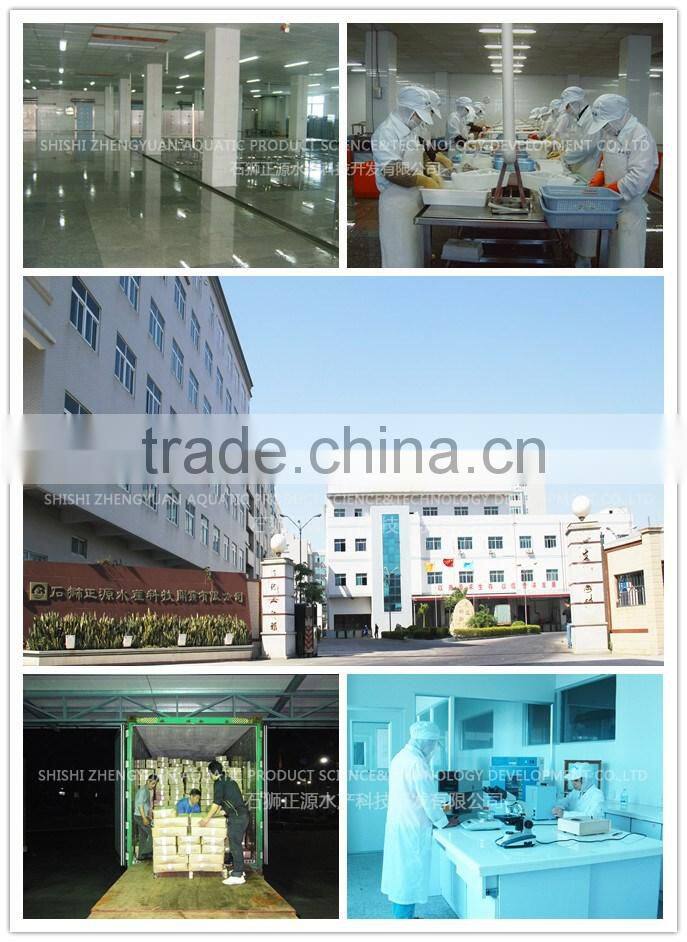 Frozen Giant Squid Neck