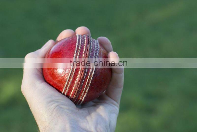 cricket ball