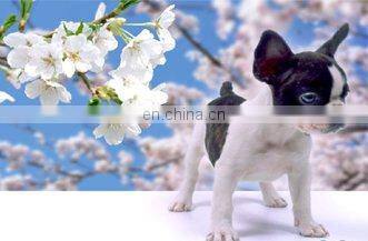 2012 PET stereoscopic poster
