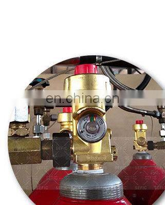 Small CO2 Gas Cylinder Used For Air-Gun/Bicycle