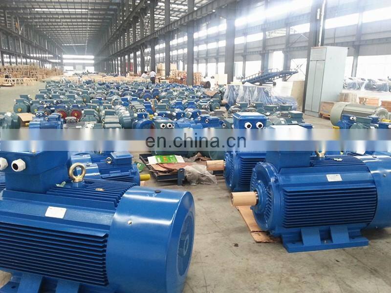 S3 Duty Tower Crane three phase electric motor