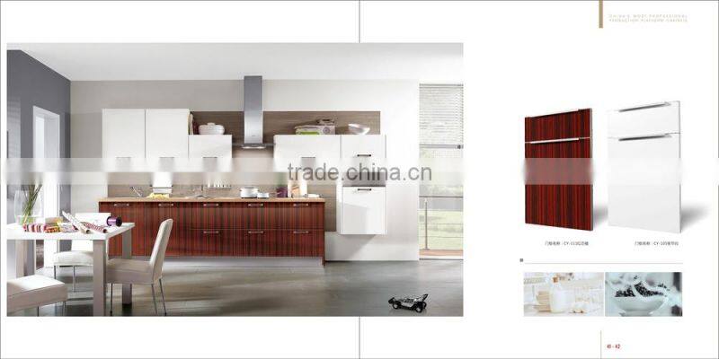 Hot-selling modern new design kitchen cabinet( CDY-S229)