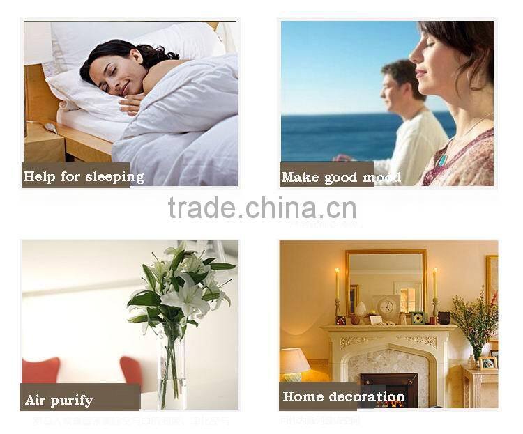 100ml ceramic aroma diffuser/aroma reed diffuser /home fragrance diffuser