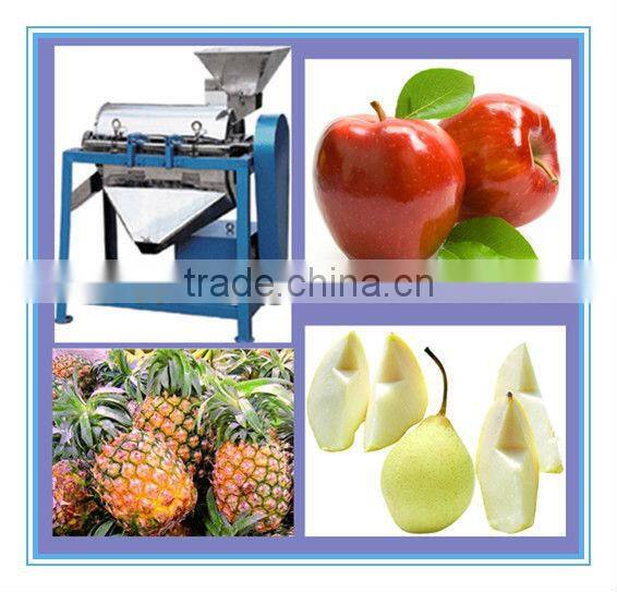 2013 best seller wide output range full stainless steel pineapple pulping machine