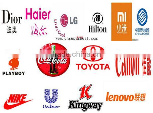 New product acrylic souvenir,PMMA trophy with fashion design