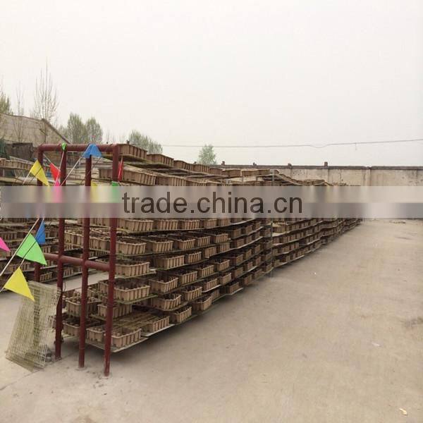 Good feedback egg tray making machine with high quality