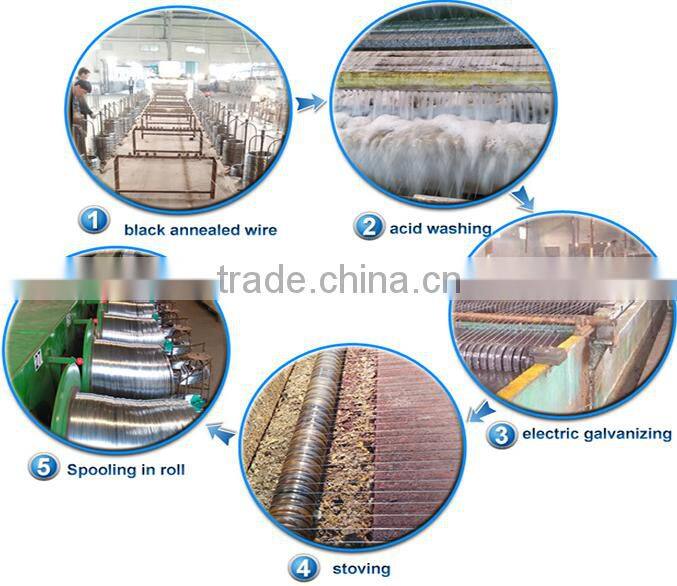 Electro galvanized wire & Hot-dipped galvanized wire