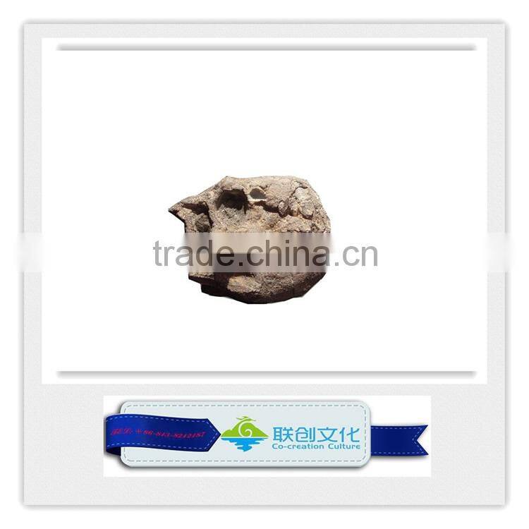 Artificial dinosaur type wall mounted dinosaur head