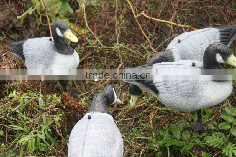 hunting duck decoy
