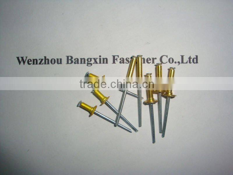 stainless steel Blind Rivet