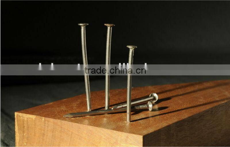 1"-4" common wire nails in china