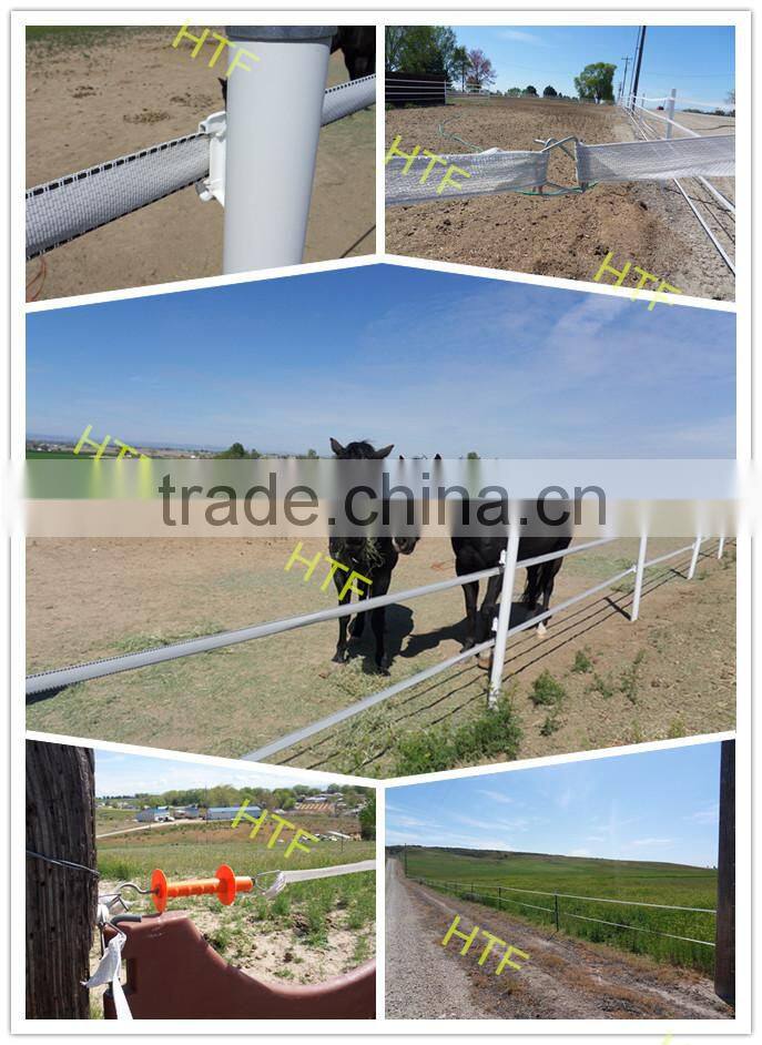 20mm electric chicken fence polytape poultry equipment