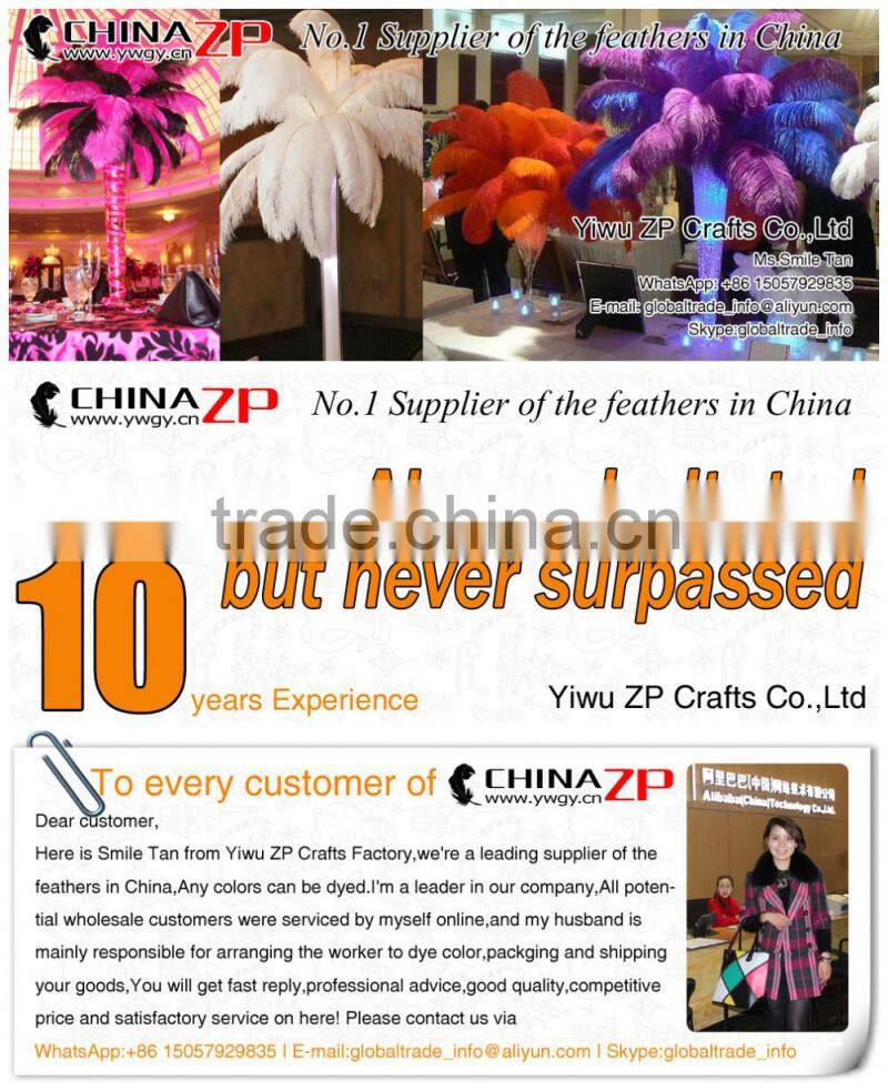 ZPDECOR No.1 Supplier in China Size From 6''-8'' Factory Exporting Popular Dyed MIx Colors Ostrich Feathers Plume for Decoration
