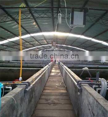 oxygen generator for fish farming