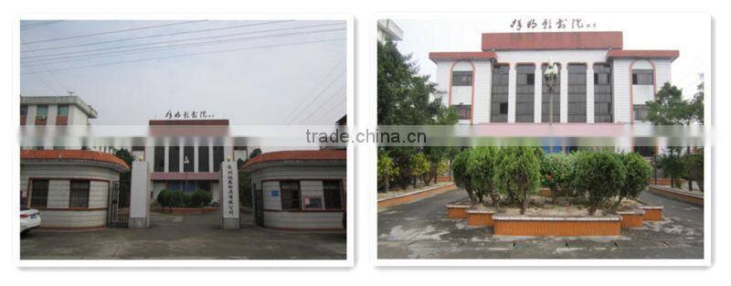 Fujian polyester kids poncho