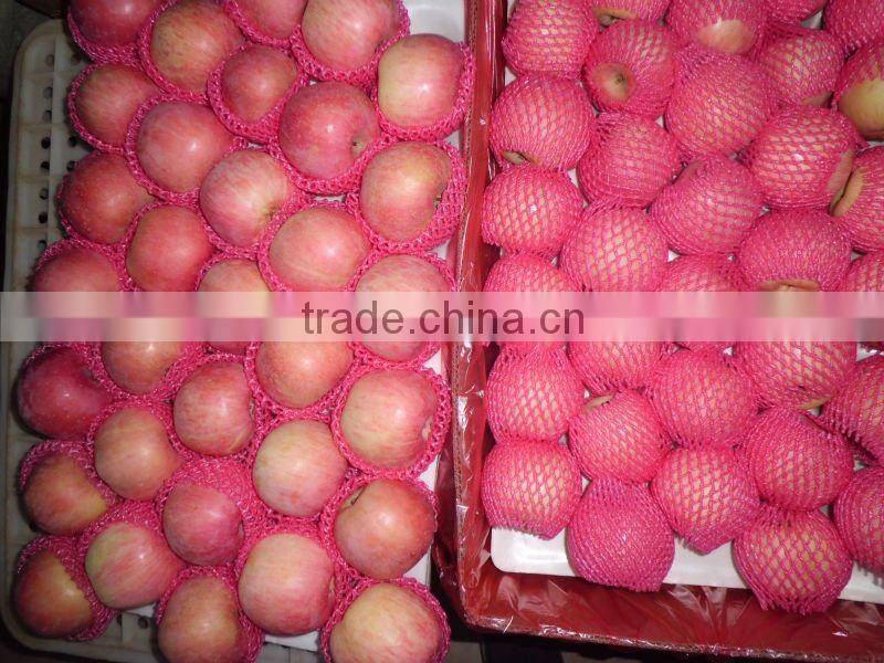 china fuji apples/yantai origin