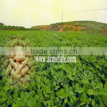 Chinese canned in plastic bottle peanut butter