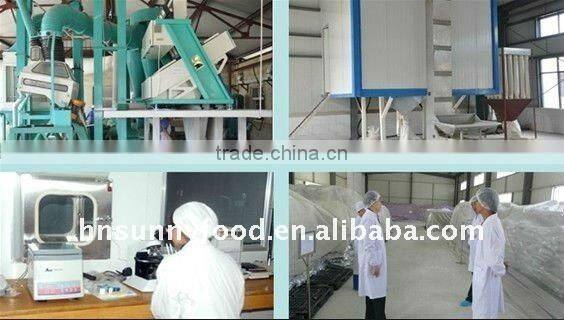 Exported Since 1992 Dehydrated Seasonings