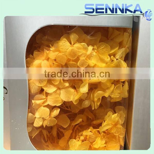 real natural purple color hydrangea preserved for flower arrangement