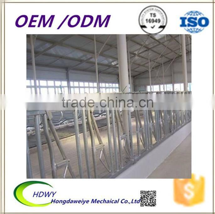 cow / cattle headlocks;cow headlocks;cattle headlocks