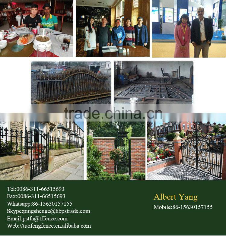 iron main gate designs for house made in China